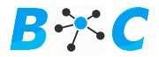 logo da business connection