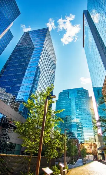 negocios florescerem com websites fantasticos