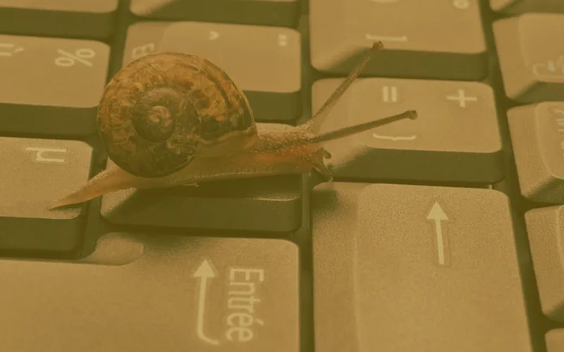 reparação wordpess website lento